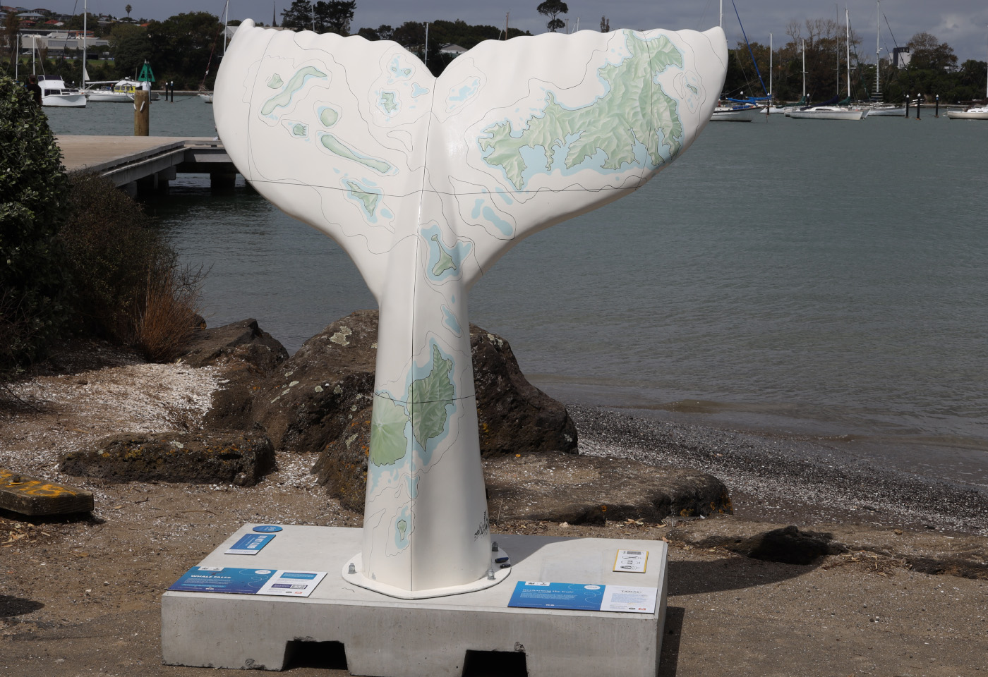 Image for Whales tails: protecting our moana