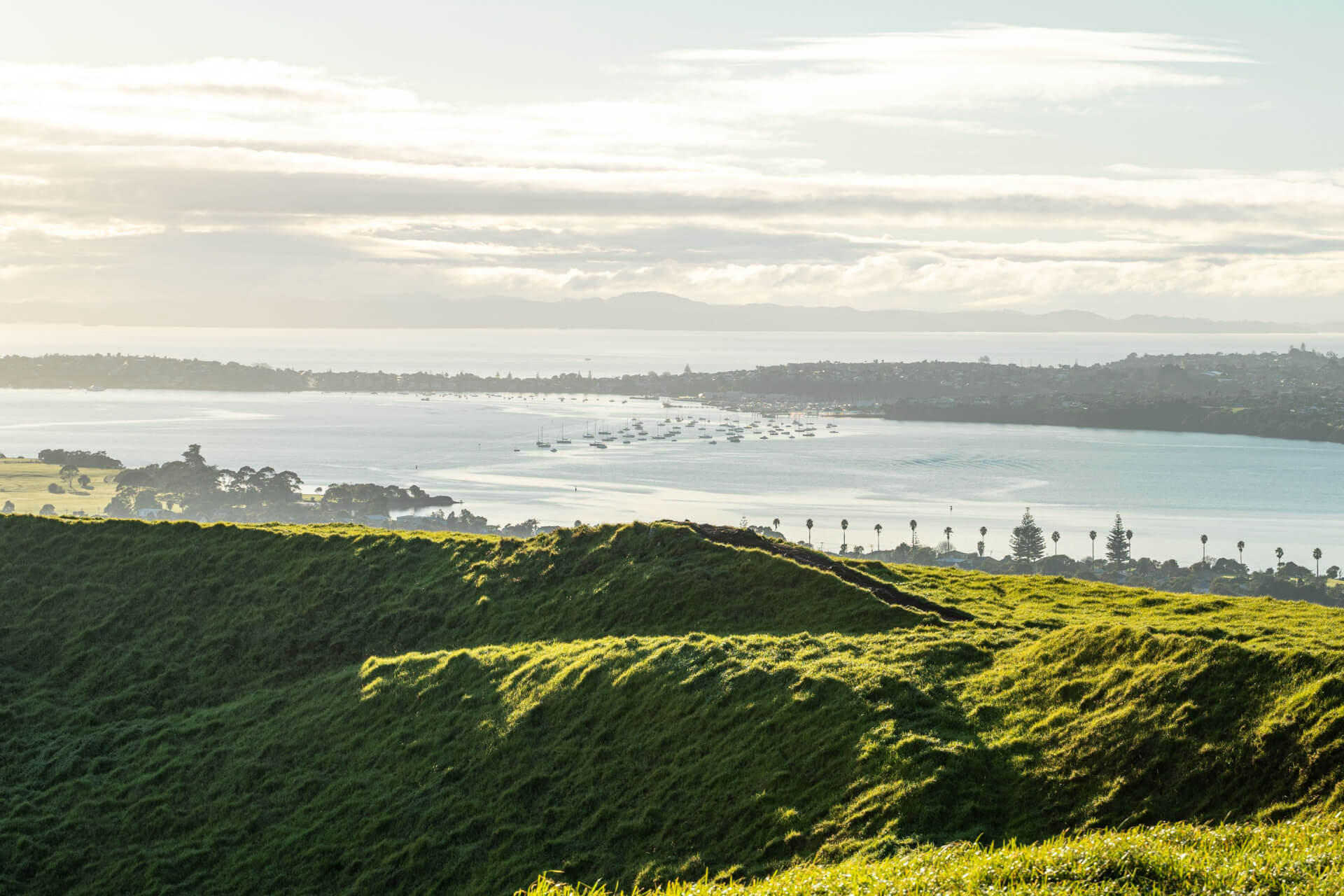 Destination Tāmaki