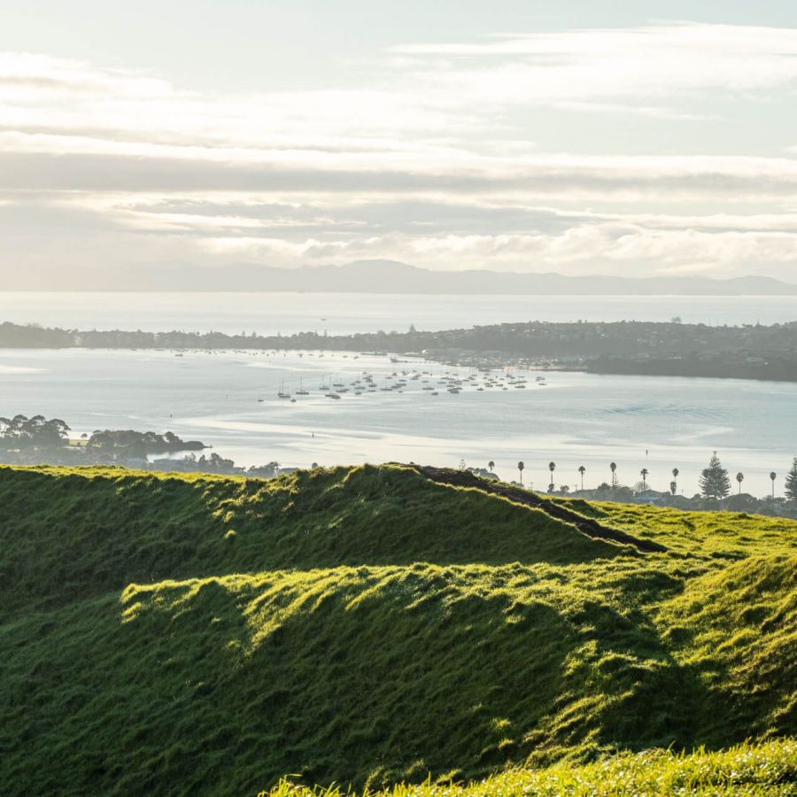 Destination Tāmaki